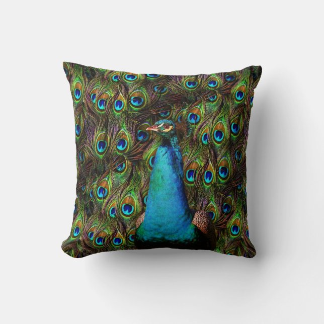 This peacock is watching you! cushion (Front)