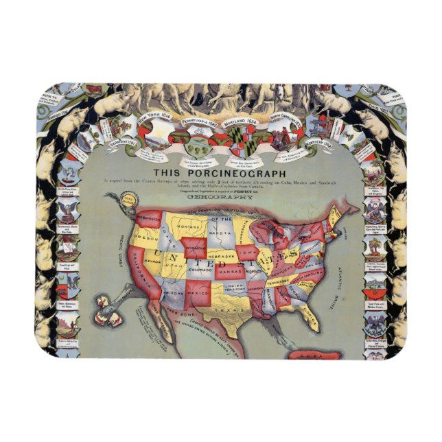 THIS PORCINEOGRAPH, c1876 Magnet (Horizontal)