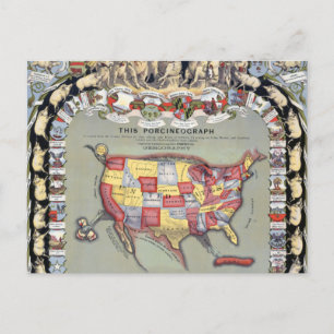 THIS PORCINEOGRAPH, c1876 Postcard