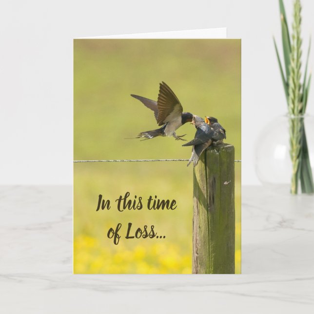 This Time of Loss Scripture Comfort Swallow Bird  Card (Front)