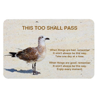 This Too Shall Pass Magnetic Card Magnet