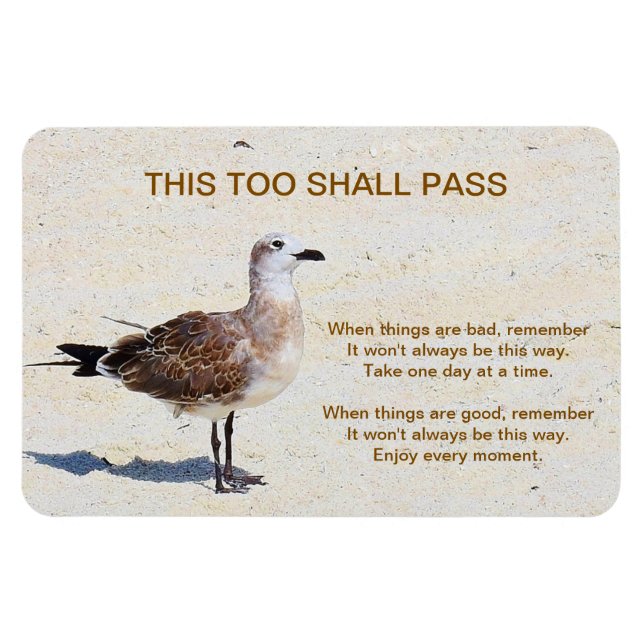 This Too Shall Pass Magnetic Card Magnet (Horizontal)