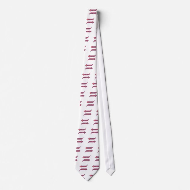 This Too Shall Pass Recovery Slogan Saying Tie (Front)