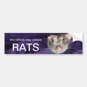 this vehicle may contain rats bumper sticker