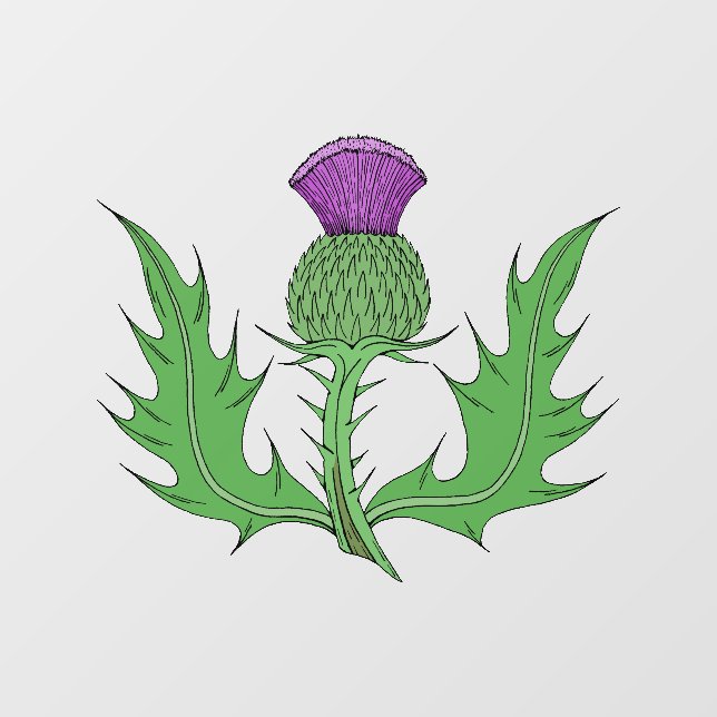 Thistle (Sheet)