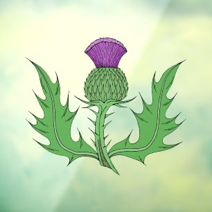 Thistle