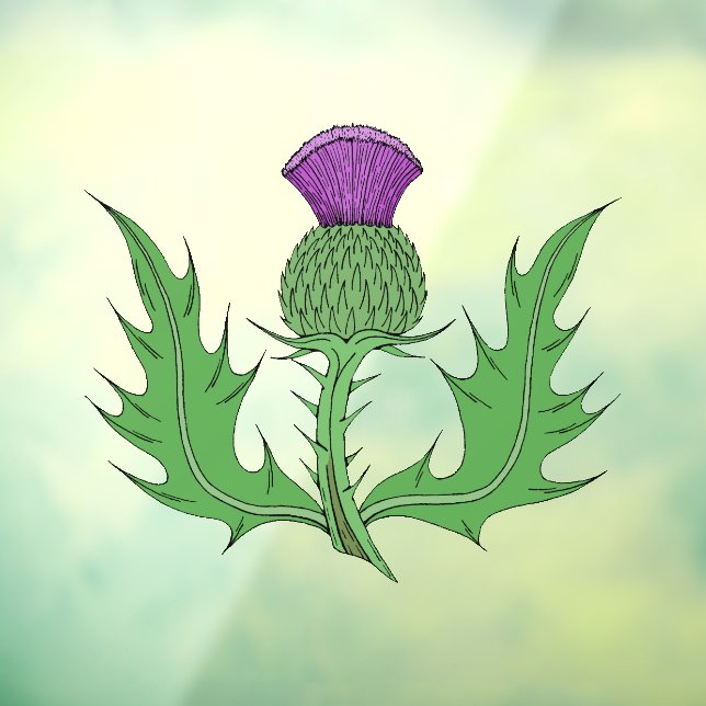 Thistle (Sheet 3)