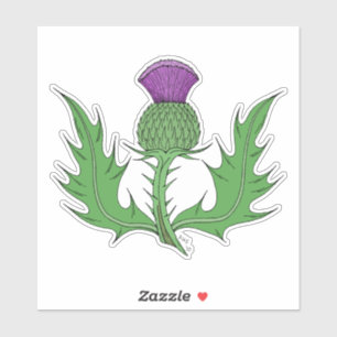 Thistle