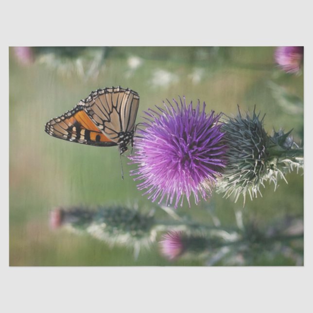 Thistle and Butterfly Print Tissue Paper (Front)