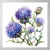 Thistle Art Print, Wildflowers Poster