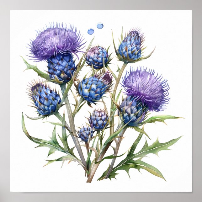 Thistle Art Print, Wildflowers Poster (Front)