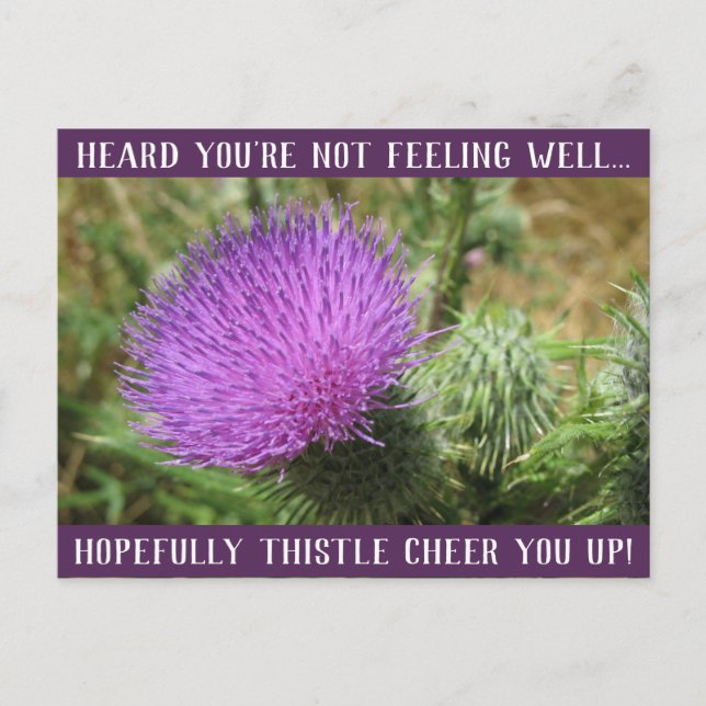 Thistle Cheer You Up Get Well Postcard (Front)