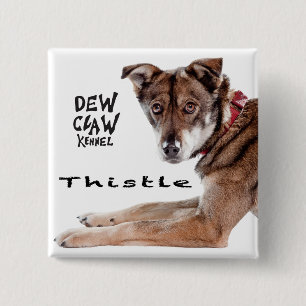 Thistle – Dew Claw Kennel Pup Button