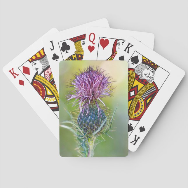 Thistle Flower Card (Back)