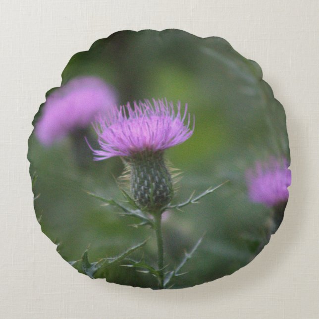 Thistle Flower Pillow (Front)