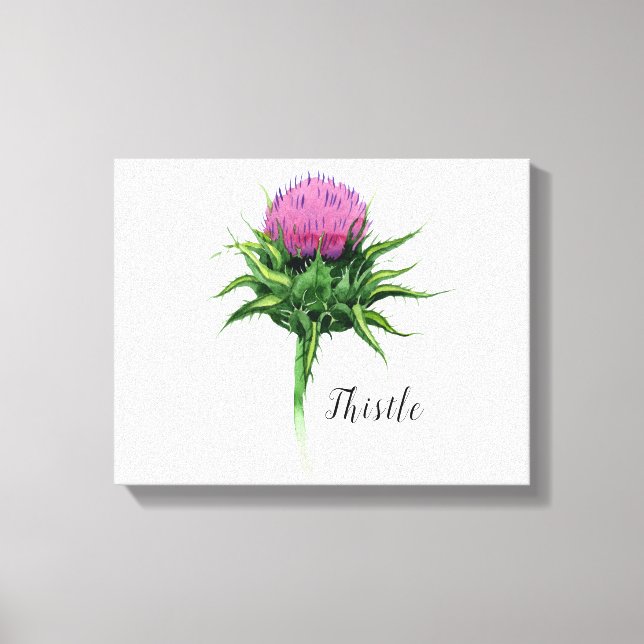 Thistle Flower Watercolor Canvas Print (Front)