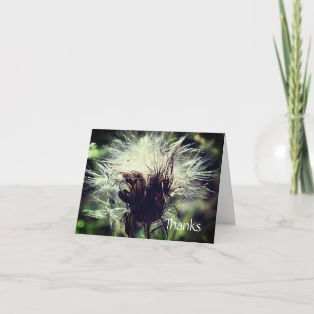 Thistle Fluff Flower Thank You Card (Front)