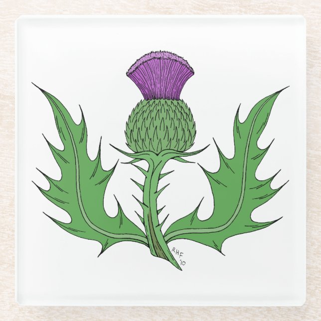 Thistle Glass Coaster (Front)