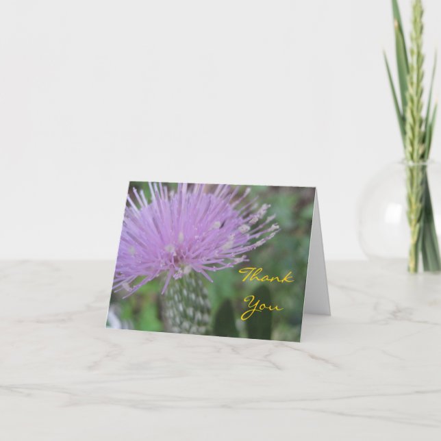 Thistle Greeting Card (Front)