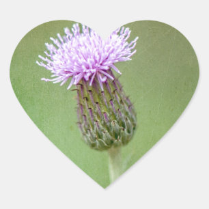Thistle Heart Sticker