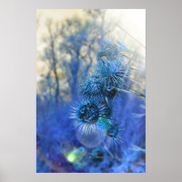 Thistle in Purple
