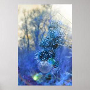 Thistle in Purple Poster