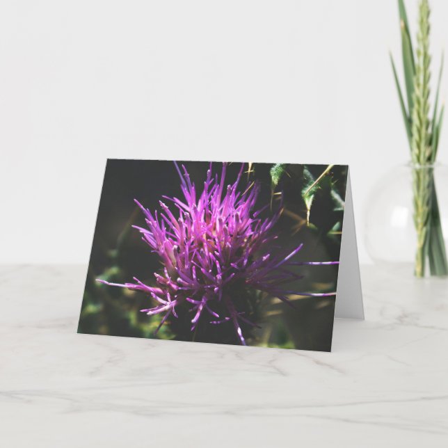 "Thistle Kiss" Card (Front)