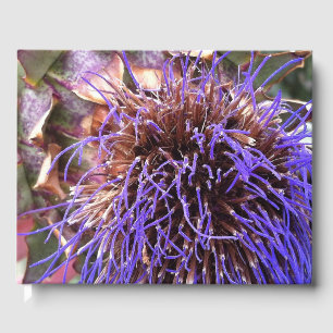 Thistle Photographic Guest Book