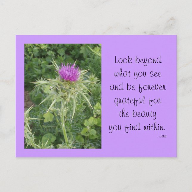 Thistle Postcard (Front)