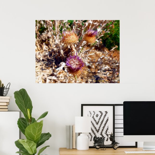 Thistle Poster (Home Office)