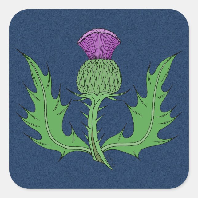 Thistle Square Sticker (Front)
