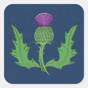Thistle Square Sticker