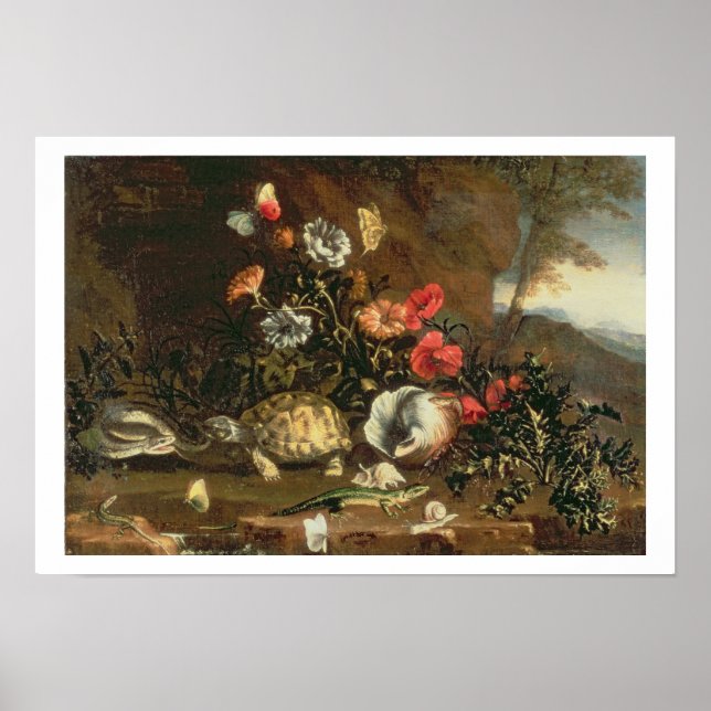 Thistles, flowers, reptiles and butterflies beside poster (Front)