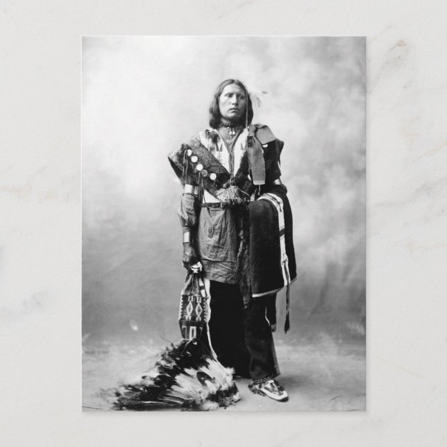 Thomas American Horse Postcard (Front)