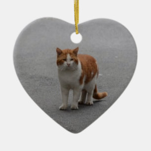 Thomas Ginger And White Cat Ceramic Tree Decoration