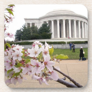 Thomas Jefferson Memorial with cherry blossoms Coaster