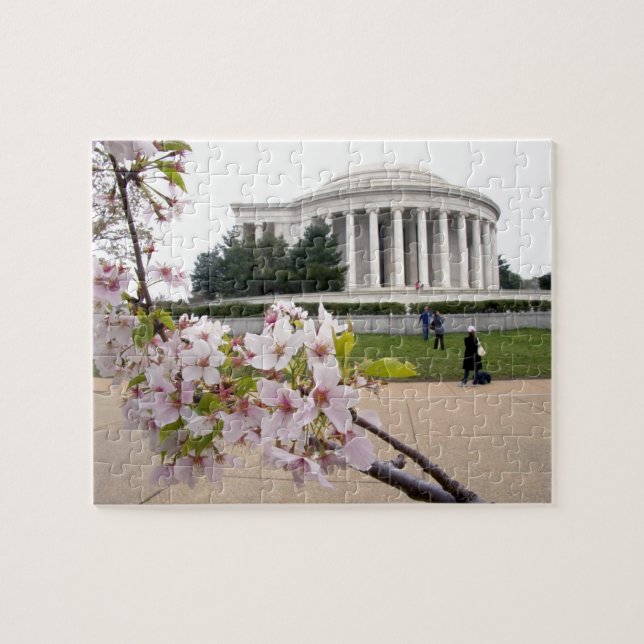 Thomas Jefferson Memorial with cherry blossoms Jigsaw Puzzle (Horizontal)