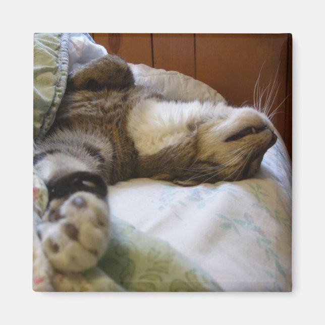 Thomas relaxing magnet (Front)