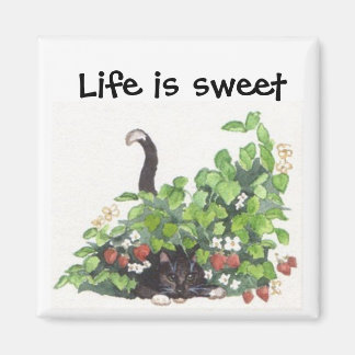 Thome in the strawberries magnet