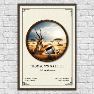 Thomson's Gazelle Zoology Series Poster
