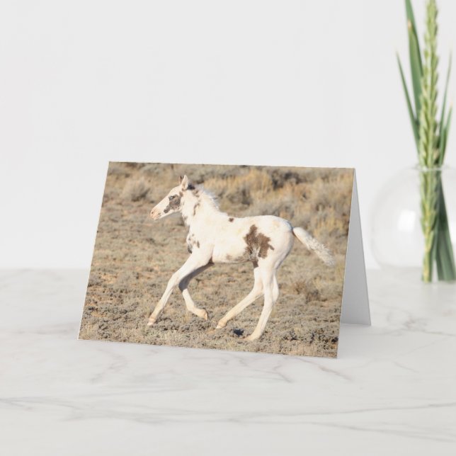 Thora of McCullough Peaks Thank You Card (Front)