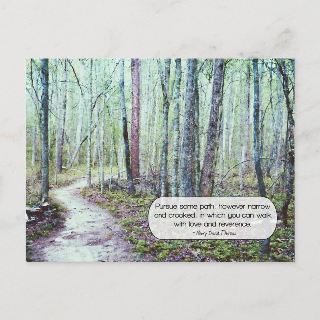 Thoreau: walk with love and reverence postcard (Front)