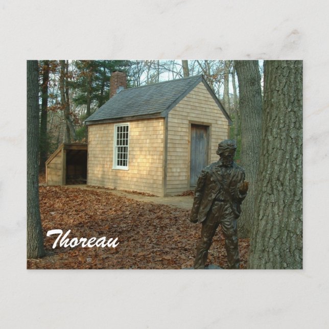 Thoreau's statue and cabin postcard (Front)