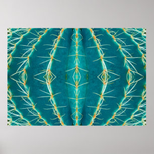 Thorn cactus background,  abstract texture pattern poster
