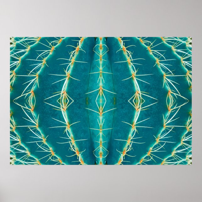 Thorn cactus background,  abstract texture pattern poster (Front)