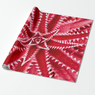 thorn cactus, natural pattern, abstract red back wrapping paper