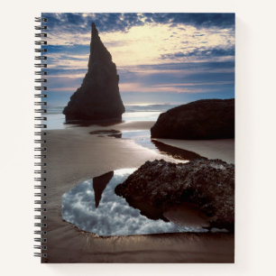 Thorn-Shaped seastack Face Rock Wayside, OR Notebook