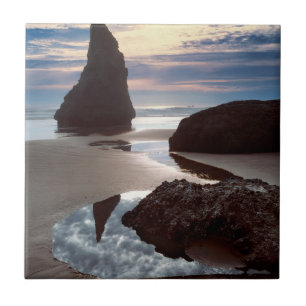 Thorn-Shaped seastack   Face Rock Wayside, OR Tile