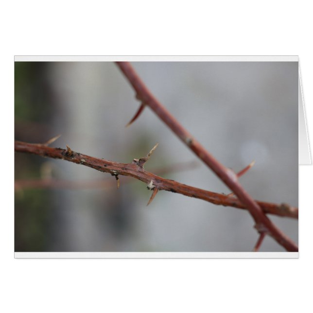 Thorns (Front Horizontal)