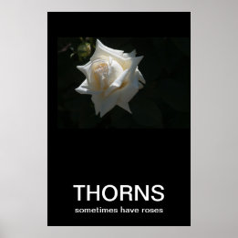 Thorns Sometimes Have Roses Demotivational Poster